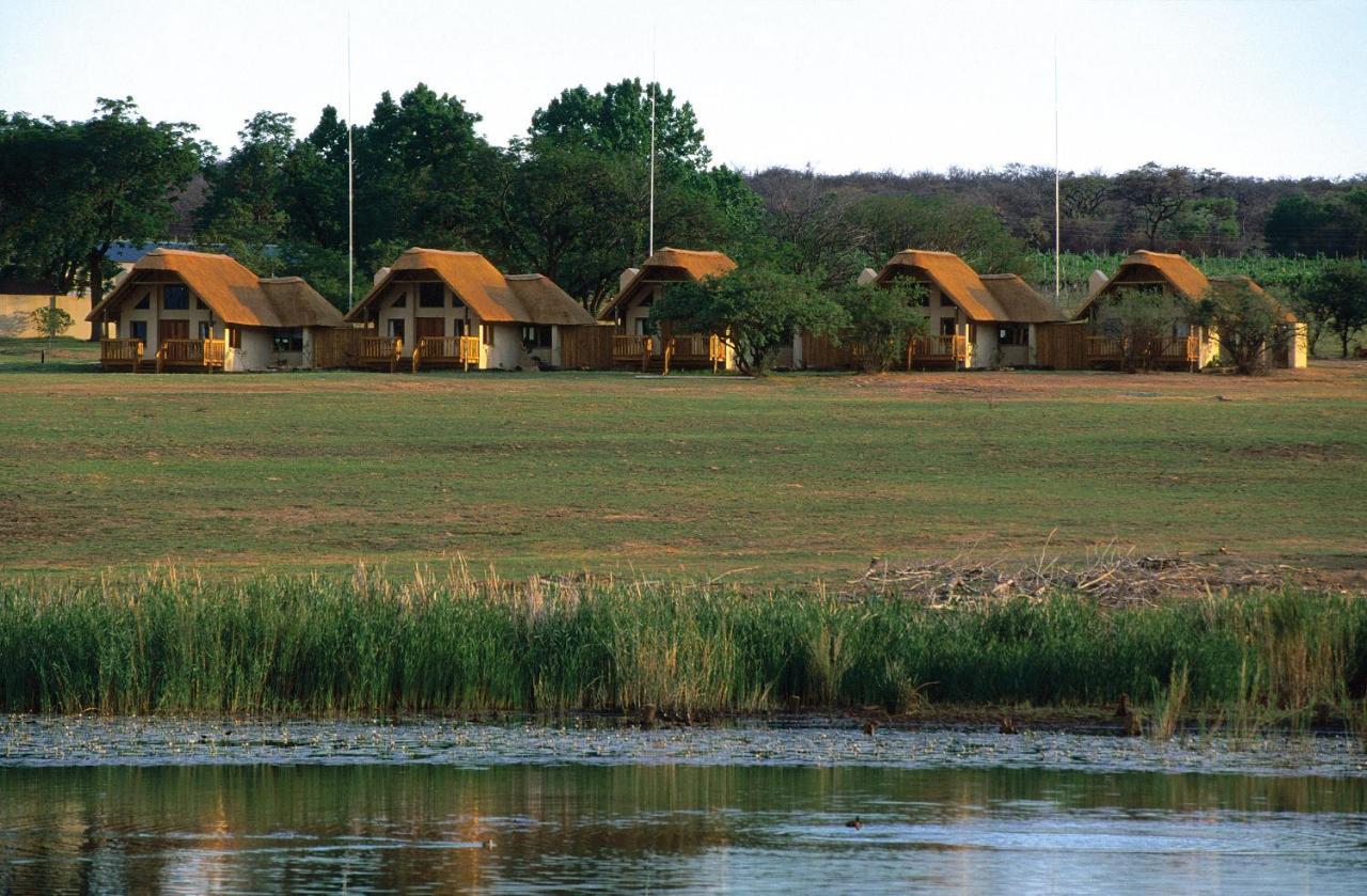Willa Wildside Safari Camp Golders Green Zewnętrze zdjęcie